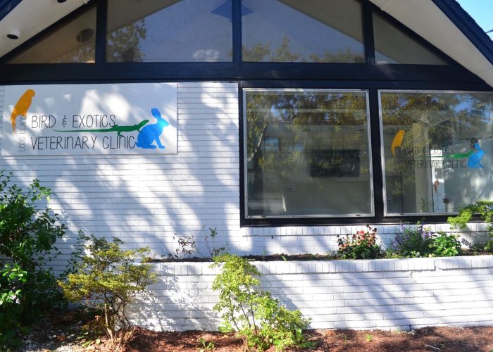 ca6a5271-7f5f-4138-9f19-724a2fcd2de6